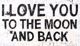 Tag Archives | quotes