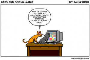 FUNNY: Why cats suck at social media