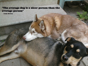 The Average Dog Is A Nicer Person Than The Average Person.”