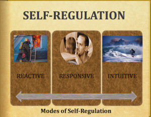 Self-regulation depicted as fluid states in our psyche