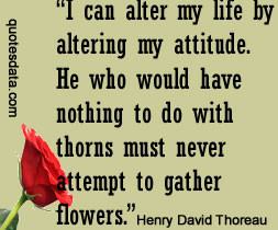 Pict ure Henry David Thoreau Quotes
