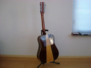 Grand Suzuki 12 String Picture