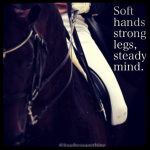 horse quotes
