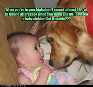 ... dog sayings cute dog quotes funny dog jokes funny quotes funny love