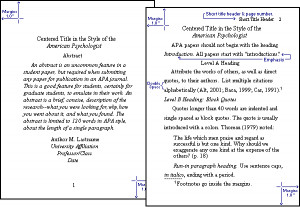 APA title & text page format