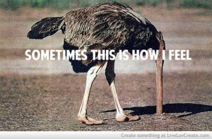 head_in_the_sand-228293.jpg?i