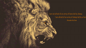 quote:I am not afraid of an army of lions led by sheep... - Alexander ...