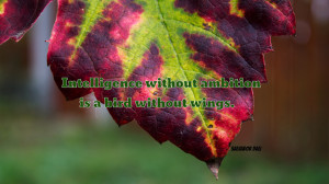Intelligence without ambition... quote wallpaper