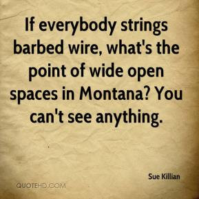 If everybody strings barbed wire, what's the point of wide open spaces ...