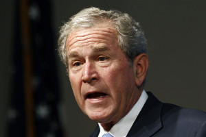 Bush Portrait