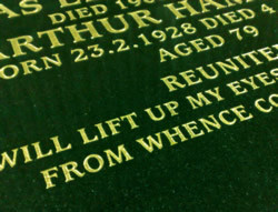 Please click on an image for more details.