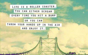 enjoy, life, quote, roller coaster, scream, text