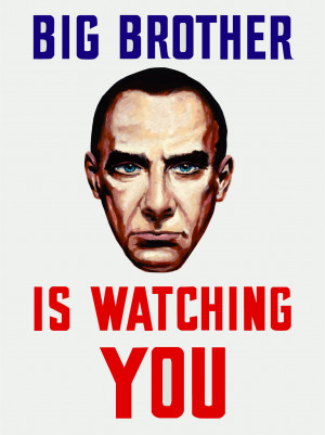 The big brother is watching you !!!