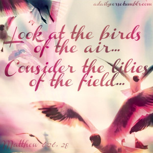 Look at the birds of the air … . Consider the lilies of the field ...