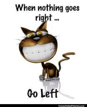 Funny cat picture with a little advice quote.