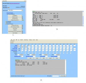FareX Pricing Mask :