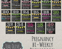 ... Deal 17 Signs Bi-Weekly Pregnancy Countdown - Chalkboard Pregnancy