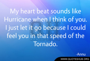My heart beat sounds like Hurricane when I think of you. I just let it ...