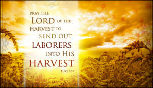 Christian Harvest Quotes http://www.crosscards.co.uk/cards/scripture ...