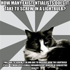 existential cat more french cat existential cat philosophy existential ...