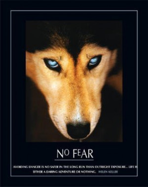 Professionally Framed No Fear Hellen Keller Quote Dog Art Print Poster ...