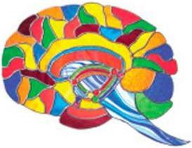 My Stroke of Insight Jill Bolte Taylor