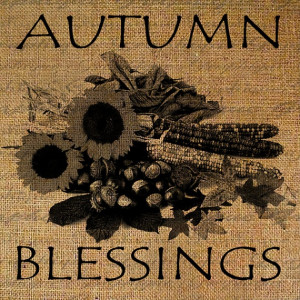 Autumn Blessings Quote Harvest Thanksgiving Fall Corn by Graphique, $1 ...