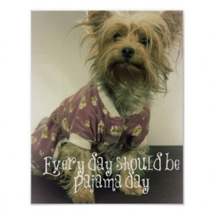 Cute Yorkshire Terrier in Pajamas with Quote Poster