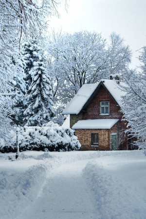 ... Winter Cabin, Winter Scene, Snow, Winter Travel, Winter Wonderland