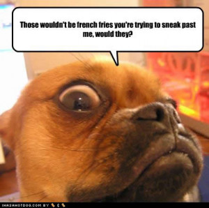 Tags: Funny Black Puns