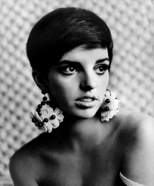 Liza Minnelli Quotes