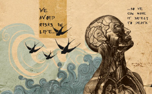 Avoidrisks Anatomy Wallpaper 1440x900 Avoidrisks, Anatomy, Walls, Post ...