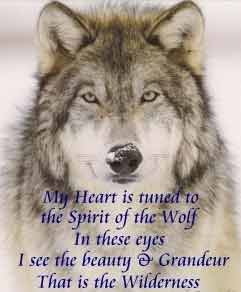 Posted by Rob at 7:55 PM