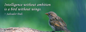 ... Pictures ambition quotes ambition quotations life quotes funny quotes