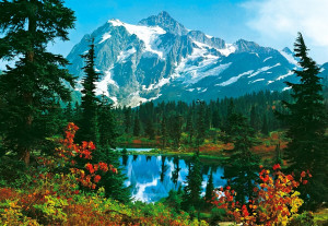 Wald Natur See Herbst Berge Schnee Berg Alpen Idylle Ruhe Tannen ...