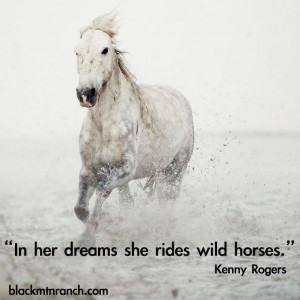 my dream is to train a wild mustang