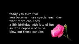 Happy Birthday Nephew Quotes from Uncle and Aunt