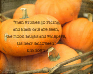 Pumpkins Orange Fall Autumn Hallowe en Witches Quote Orange Fall Decor ...