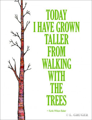 ... have grown taller from walking with the trees.