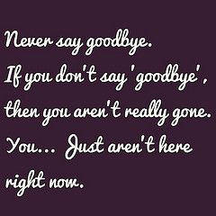 texan quotes | phonto #rvb #redvsblue #roosterteeth #quotes #goodbye # ...