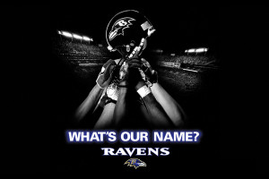 baltimore ravens wallpaper Images and Graphics