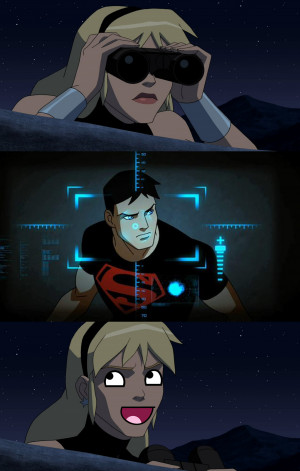 Young Justice This is why Nightwing doesn't team-up Superboy and ...