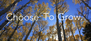 Personal Growth & Self-Actualization; www.DrChristinaHibbert.com