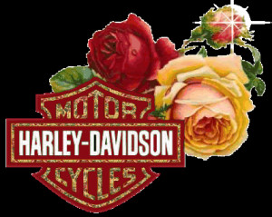 Harley Davidson Rose
