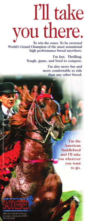 American Saddlebred