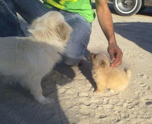 Source of my happiness and joy my sweetheart and my boy