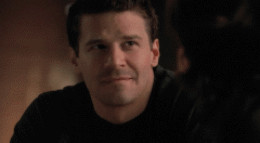 Favorite Seeley Booth gif (one per episode)/ 2.07 The Girl with the ...