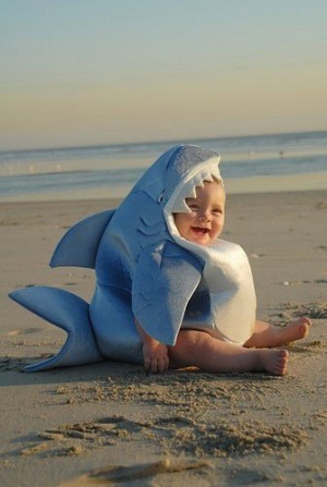 quote of the former pinner): I KNOW THIS IS A BABY BUT HE'S IN A SHARK ...