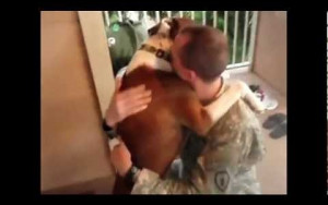 with-mans-best-friend-dogs-welcoming-home-their-owners-from-deployment ...
