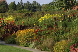 Perennial Border Gardens